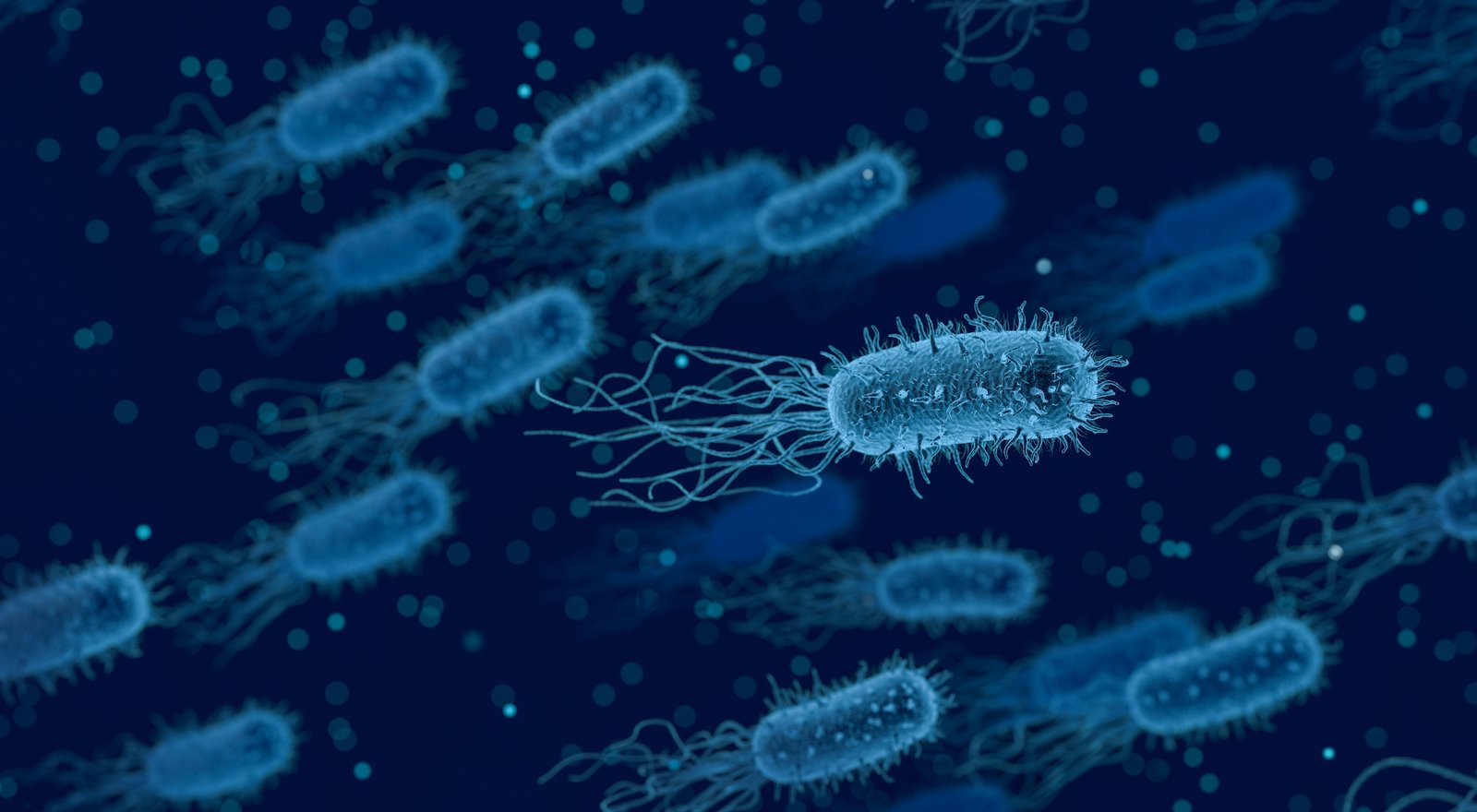 Baktrie jako symbol pohlavně přenosných pohlavních chorob